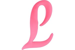 WISH YOUNG 3PCS Letter Charms Compatible with Bogg Bags,2.75 in Large Size Bag Inserts Accessories Decorative Charm for Beach Bag (Hot pink, L)