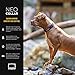EzyDog Neo Dog Collar - Waterproof & Reflective Dog Collar with Soft Padded Neoprene for Comfort & Durable Nylon – Features Quick Release Buckle and Built-in ID Clip (Large, Orange)