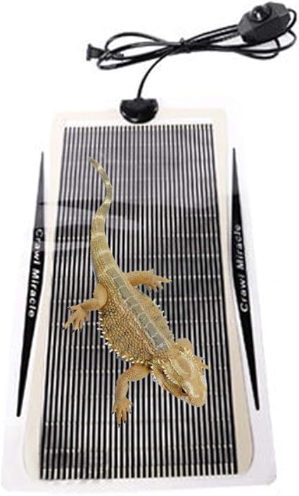 heat pad for bearded dragon