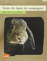 Soins du lapin de compagnie