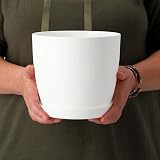 B2C Flower Pots 6 Colours 8 Sizes Matt Plastic Plant Pots Planter + Saucer Tray view 5