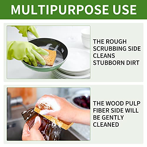 12 Pack Kitchen Dish Sponges, Natural Plant Palm Fiber Scrub Sponge with Non Scratch