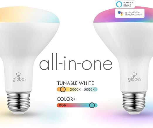 globe smart bulb google home