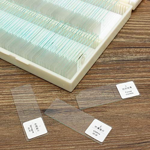 ZUINIUBI Microscope Slides-100pcs Glass Prepared Basic Plant Microscope Slides Sample Biology Pathology