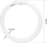 Aigostar T9 32W Circular Fluorescent Light Tube 6500K 2100lm 30cm Cool White view 2
