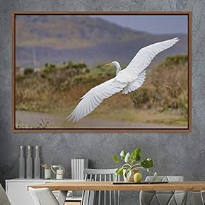 signwin Framed Canvas Wall Art Soaring Bird Aerial...