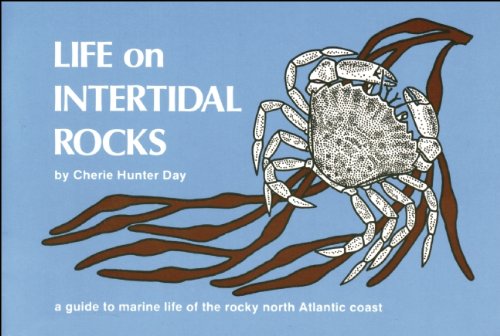Buy Special Books Life On Intertidal Rocks A Guide To