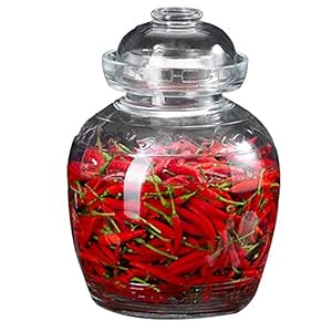 ZYQDRZ Kimchi potten, glas verdikte zuurkool potten, 2.5L/5L, gebruikt voor het beitsen van heerlijke kimchi, augurken…