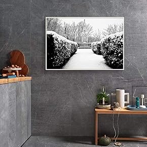 Floating Framed Canvas Wall Art for Living Room, Bedroom Black and White Landscape Canvas Prints for Home Decoration Ready to Hang - 16x24 inches