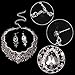 EVER FAITH Women's Austrian Crystal Flower Cluster Teardrop Necklace Earrings Set Black Silver-Tone