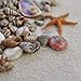 Miniature Fairy Garden Tiny Seashells