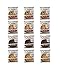 Quest Protein Cookies Super variety 4 flavor 12 count