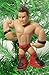 WWE Wrestling Set of 10 Wrestler Holiday Christmas Tree Ornaments Featuring RANDOM 2
