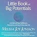 Little Book of Big Potentials: 24 Fields of Flow, Fulfillment, Abundance, and Joy in Everyday Life by 