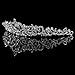 LRKC Bridal Tiara Wedding Crown Pageant Princess Rhinestone Crystal