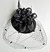 Fascinators Hair Clip Headband Pillbox Hat Bowler Feather Flower Veil Wedding Party Hat, Black, One Size