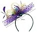 Mardi Gras Cocktail Tea Party Feather Fascinators Flower Dot Veil Headwear Top Hats Wedding Headband for Women (Yellow&Purple&Green)