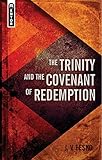 Trinity And the Covenant of Redemption