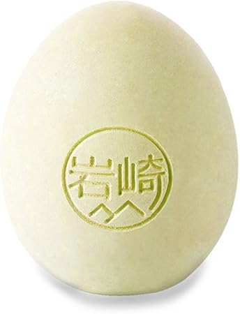 Amazon 正規販売店 Encologi 珪藻土 ドライングエッグ 抗菌 空気浄化 脱臭剤 調湿剤 吸湿剤 自然素材 ドライングエッグ 乾燥 ソイル 冷蔵庫用 自然素材 ドライングオブジェ 卵 たまご ナチュラル ソイル 乾燥剤 かわいい たまご型 3個セット レモン Encologi