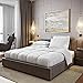 DOWNLITE Hotel Bedding Collection Hypoallergenic Primaloft Luxury Down Alternative Comforter - Light to Medium Weight (King 104