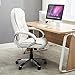 Belleze High-Back PU Leather Executive Office Ergonomic Computer Desk Chair with Padded Arms Chrome Silver, Adjustable Height & 360 Swivel - Stella (White)