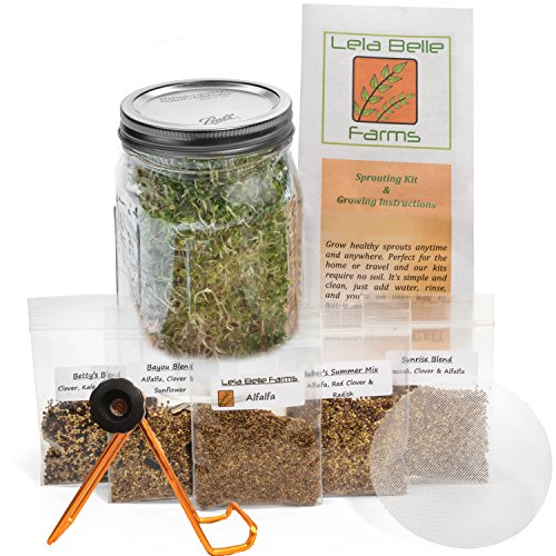 Sprout Life Sprouter & Sprouting Kit and Stand with 5 Varieties of Sprouting Seeds Plus a Sprouting Recipe Book Download