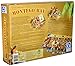 Queen Games Montego Bay Board Game