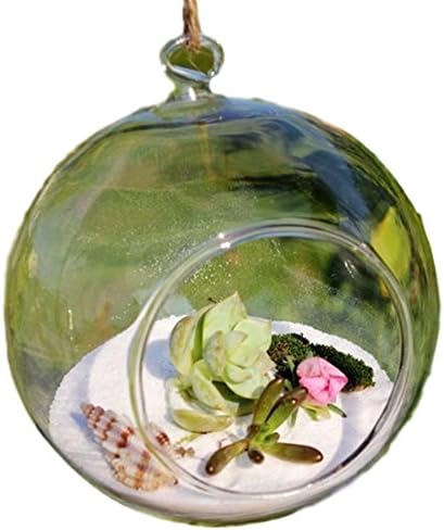 DIY Micro Landscape Plant Glass Hanging Ball with Iron Rack Home Decoration