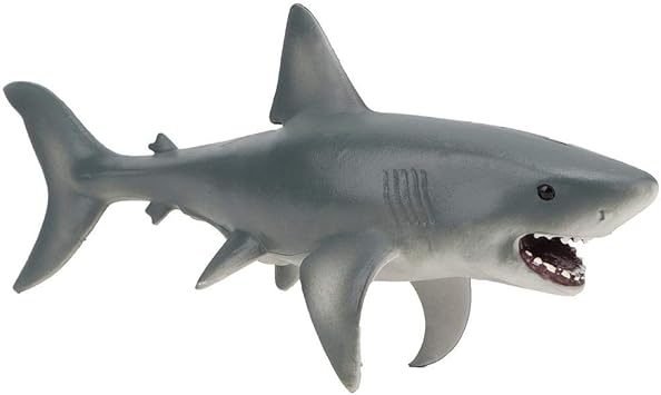 squalo giocattolo