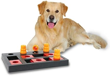 amazon trixie dog activity