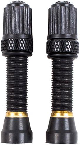 schrader tubeless valve