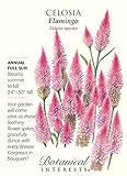 Flamingo Celosia Seeds - 150 mg - Annual