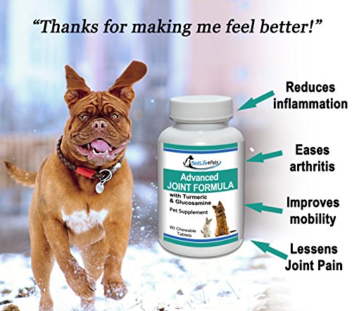 BestLife4Pets Dog Glucosamine Chondroitin and Turmeric Joint Pain Relief Supplement (60 Chews)