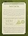 Rishi Tea Jasmine Green Tea - Organic Sachet Tea Bags, Caffeinated Scented Chinese Green Tea with Floral Aroma & Taste - 15 Count (Pack of 1)