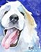 Great Pyrenees Art Print | Pyr Home Decor Gifts | From Original Watercolor Painting by Ron Krajewski | Hand Signed Artwork in 8x10” and 11x14” Sizes | Drawing, Picture, Illustration