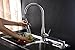 Kitchen Faucets, LiFu Stainless Steel Simplice Single Handle Pull-Down Sprayer Kitchen Faucet, Pull Out Kitchen Sink Faucet