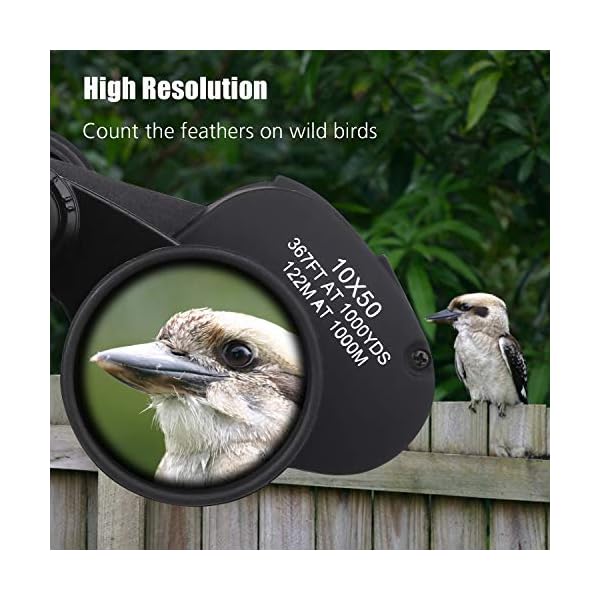 BRIGENIUS 10x50, HD Fernglas Erwachsene, Kompakt mit Nachtsicht, Wasserdicht FMC-Linse für Vogelbeobachtung Wandern Jagd Sightseeing – Bild 6