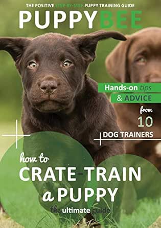 dog crate training guide