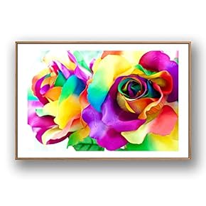 Framed Canvas Wall Art for Living Room, Bedroom Rose Flowers Canvas Prints for Modern Home Decoration Ready to Hang - 16"x24" inches