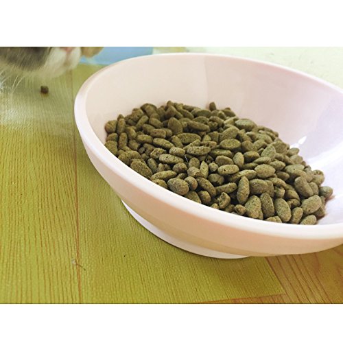 Creation Core Premium Quality Tilted Pet Bowl for Cats Small Animals with Anti-skid Rubber(White)