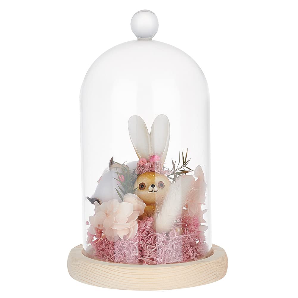 PH PandaHall Glass Display Dome Cloche, Glass Bell Jar with Cork Base Glass Dome Decorative Jars Display Case for Flower Plants Succulents Storage HomeValentine Party Favor Decoration, 11x18.5cm