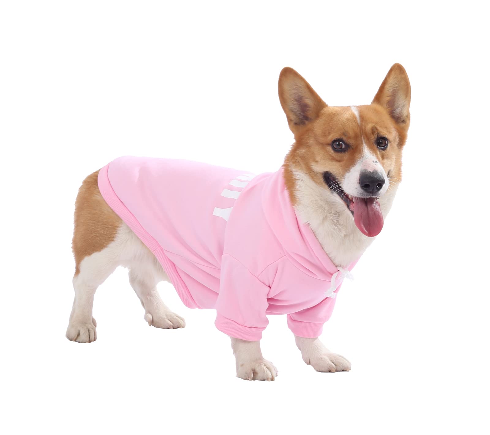 Dog Hoodie,Fashion Soft Cotton Pet Hoodie Hooded Clothes Warm Autumn Winter Coat T-Shirt Costume Apparel for Puppy Small Dogs Medium Dogs (Medium, Pink)
