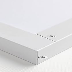 eletecpro Record Frame 16x24 Inches with 2 Double