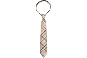 Alizeal Boys 15inch Length Novelty Woven Stripe Neckties for Age 8-14