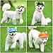 Happy Hours Dog Hat, Pet Baseball Cap/Dogs Sport Hat/Visor Cap with Ear Holes and Chin Strap for Dogs and Cats (Black, Size S)