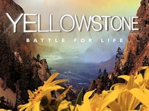 Watch Yellowstone - Season 1 | Prime Video