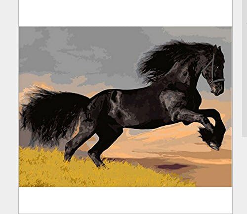 Unframed DIY Animal Painting By Number Black Running Horse Watercolor Canvas Print Painting Wall Art Home Decoration