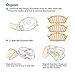 efluky Replacement Accessories Kit for Roomba 500 Series 530 535 540 560 570 580 - Includes 3 Pack Filter and Side Brush, 1 Pack Bristle Brush and Flexible Beater Brush, 1 Pack Cleaning Tool
