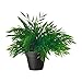 Ikea Artificial Potted Plant, House Bamboo, 11 Inch, Pack of 2