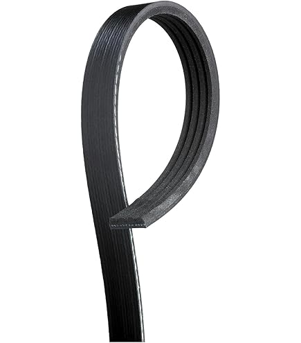 SKF Multi-V-Riemen 6PK1572 - Keilriemen Für Audi A4, A6 & VW Modelle